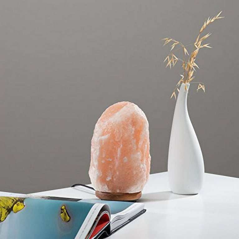 Wbm salt 2024 lamp bulb