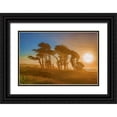 thumbnail image 1 of Murdock, Ramona 18x13 Black Ornate Wood Framed with Double Matting Museum Art Print Titled - Beach Trees, 1 of 4
