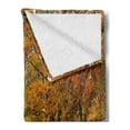 thumbnail image 2 of Fall Soft Flannel Fleece Blanket, Idyllic Rural Landscape Tranquility in the Park Pathway Woodland Peaceful Environment, Cozy Plush for Indoor and Outdoor Use, 70" x 90", Multicolor, by Ambesonne, 2 of 5