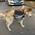 thumbnail image 3 of SPRING PARK Dog Backpack for Hiking Compact Dog Saddlebag for Dogs. Adjustable Harness, Comfortable Fit-Perfect Dog Carrier Backpack with Zipper Pockets for Outdoor Activities, 3 of 7