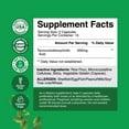 thumbnail image 4 of Natures Craft 500mg Advanced Bile Salt TUDCA Supplement, Kidney and Liver Support, 30 Capsules, 4 of 9
