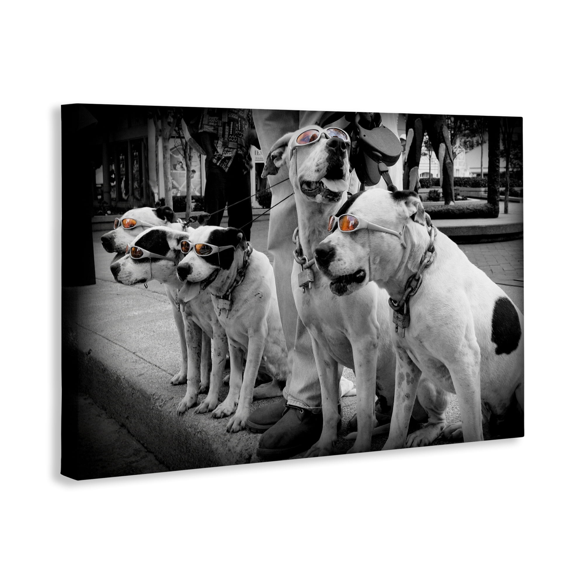 Stupell Industries Afternoon Stroll Pups Canvas Wall Art, design by Scott Henderson