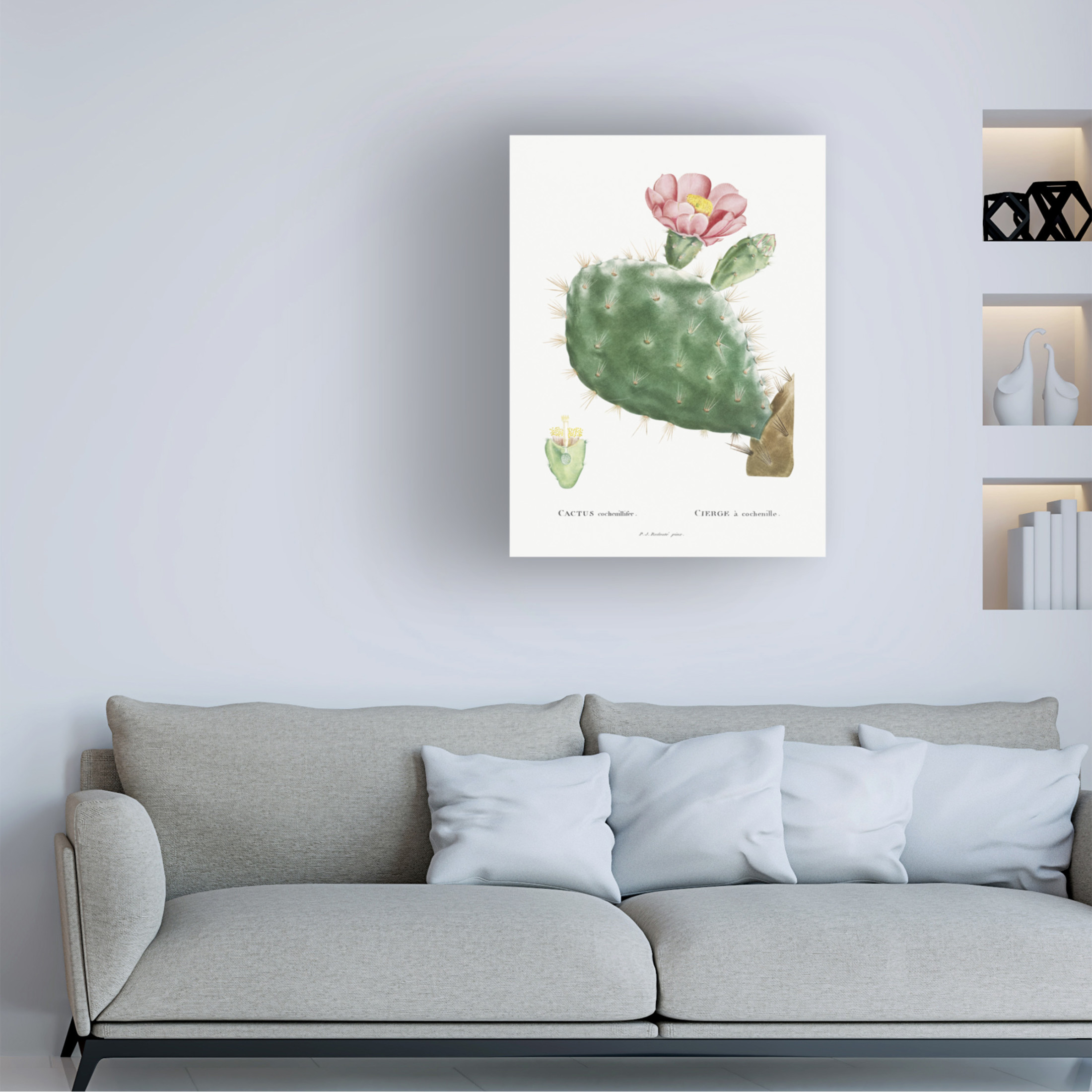 Trademark Fine Art Pierre Redoute Redoute Cactus III Canvas Wall Art