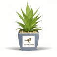 thumbnail image 1 of Sparrows Birds Animals Food Pause Fake Pineapple Flower Pot Vase Mini Decor, 1 of 3