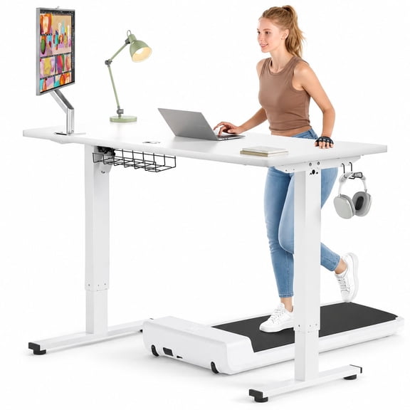 48 x 24 Inch Electric Height Adjustable Standing Desk with 0.8" Thick Desktop, Sit Stand Desk with 3 Memory Position Settings & Cable Management Tray for Home Office