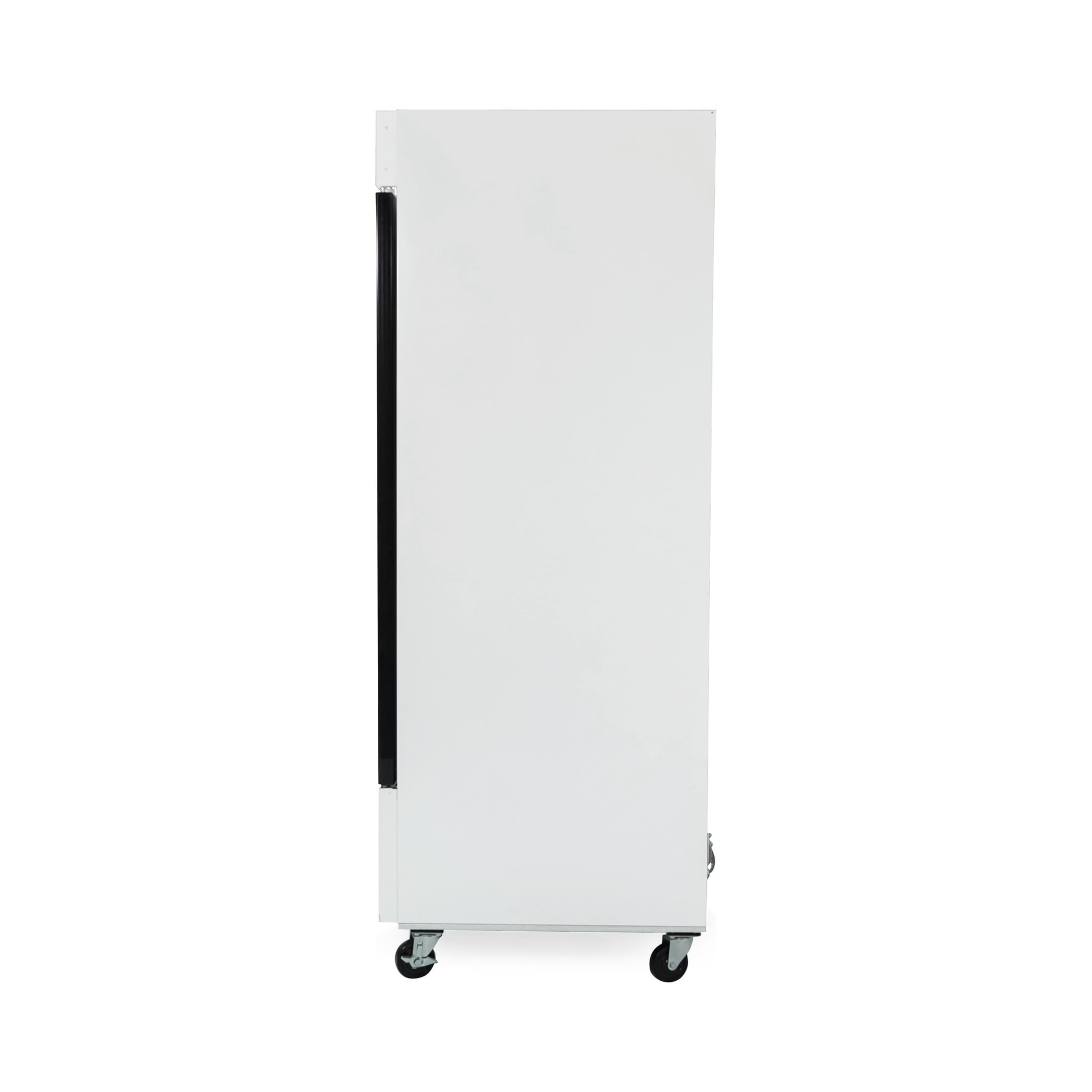 23 cu. ft. Frost Free Commercial Upright Freezer in White