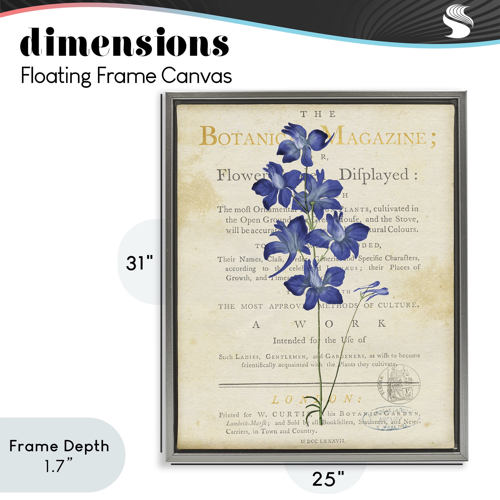 Stupell Industries Natural Botanic Garden Flower Gray Framed Floater Canvas Wall Art, design by Susan Arnot