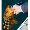 thumbnail image 4 of Yo-Zuri Hydro Minnow LC, 6" Hard Bait Lure, Ghost Black, 4 of 5