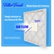 thumbnail image 2 of Ambientador Filter Fresh WEB para todo el hogar Country Berries, 2 of 3