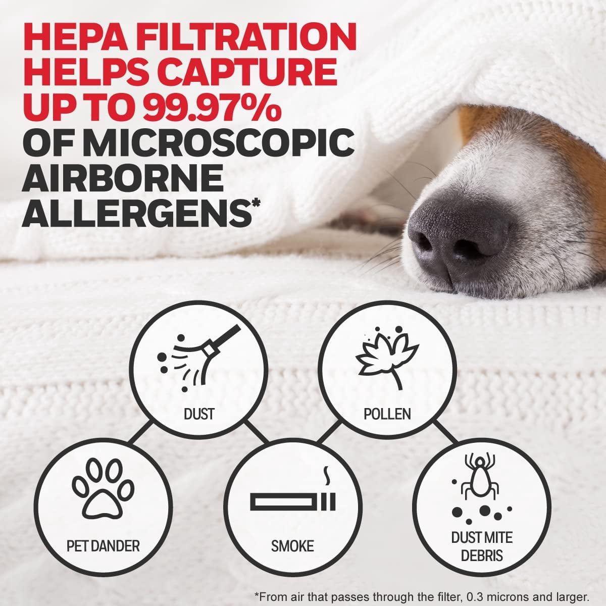 HEPA  Purifier Filter Value Kit – Includes 2 R HEPA Filters and 1 A Pre-Filter Roll with Cutting Template for Home Allergen Removal