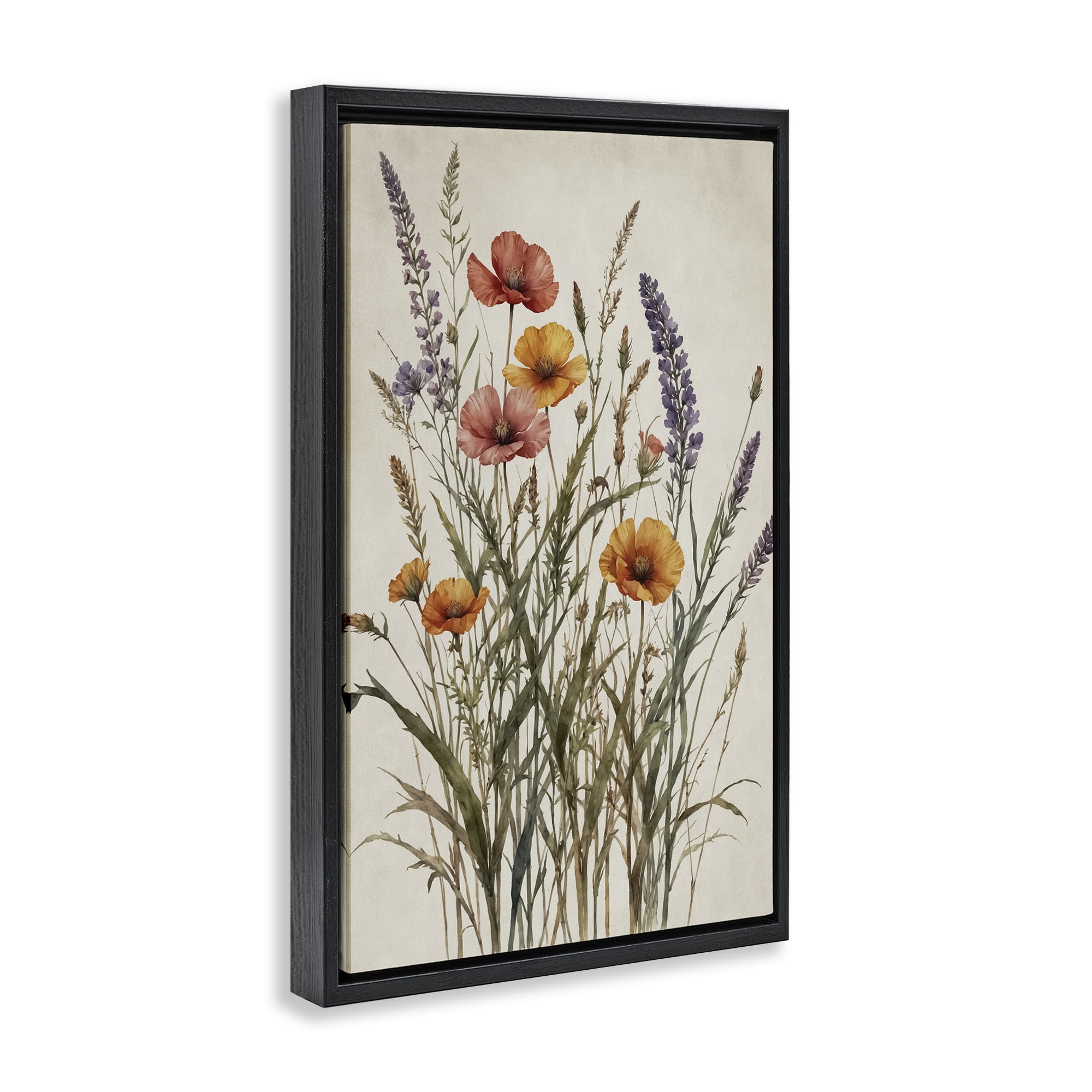 Stupell Industries Vintage Collection of Meadow Botanicals Black Framed Floater Canvas Wall Art, design by Nataly White