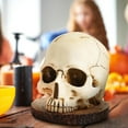thumbnail image 4 of SDJMa Skull Knife Holder For Kitchen Storage, Horror Kitchen Storage Head Rack Kitchen, Scary Party Fruit Storage Rack Decor, Halloween Resin Skull Ornaments Gifts, Resin Knife Block Without Knives, 4 of 6