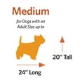 thumbnail image 2 of MidWest Homes for Pets Maxx Dog Bed Designed to Fit a 30-Inch Dog Crate; Red; Model 40530-BR, 2 of 6