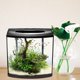 thumbnail image 4 of BESTYASH Hoja Artificial Con Ventosa Para Acuarios Y Descanso De Betta, 4 of 6