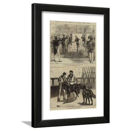 Return of the Prince of Wales from India Framed Print Wall (Best Return Policy In India)