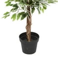 thumbnail image 6 of DecMode 73" Tall Artificial Ficus Tree in Realistic Leaves and Black Plastic Pot, 6 of 14