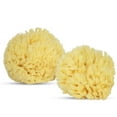 thumbnail image 3 of Baby Buddy Natural Baby Bath Sponge 4in Ultra Soft Premium Sea Wool Sponge Soft on Tender Baby Skin, Biodegradable, 2pk, 3 of 8