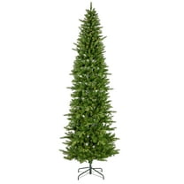 12 Ft Pre Lit Saginaw Spruce Christmas Tree