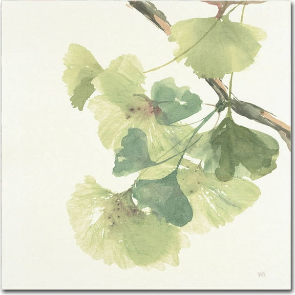 Trademark Fine Art "Gingko Leaves II Light" Canvas Art by Chris Paschke