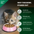 thumbnail image 4 of Iconic Pet Color Splash Stripe Non-Skid Pet Bowl, 8 Oz, Pink, 4 of 9