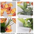 thumbnail image 4 of Orange Dcoratif Real Touch Faux Orchide Bonsa Fleurs Artificielles Avec Imitation Porcelaine Pots De Fleurs Phalaenopsis Fleurs Arrangements Pour, 4 of 5