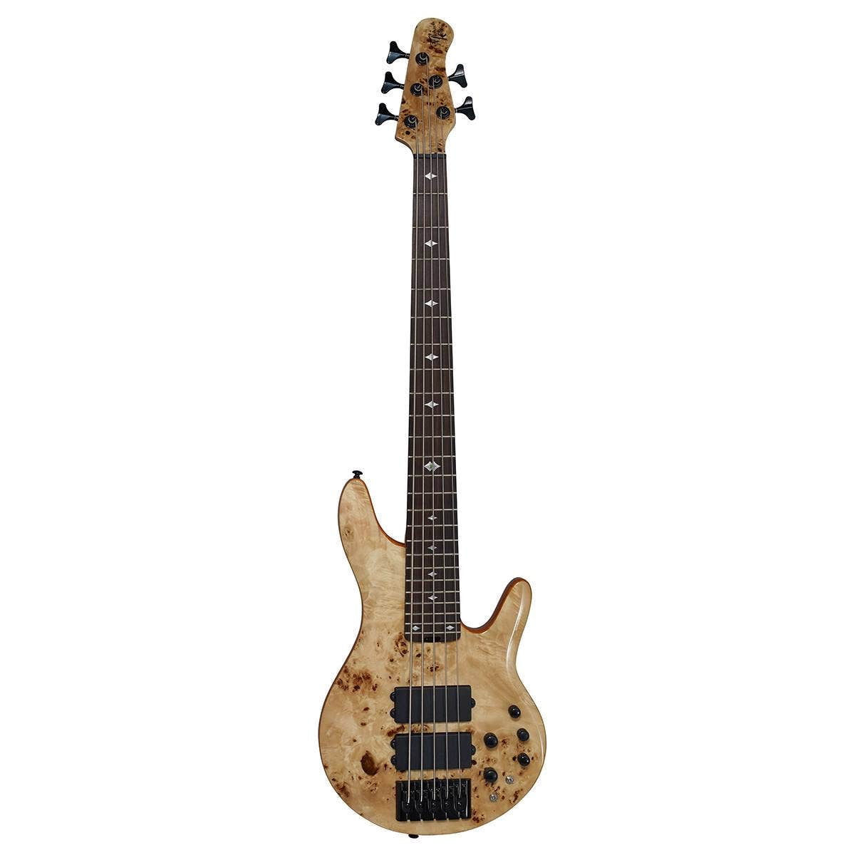 Michael Kelly Pinnacle 5 5-String Bass Guitar
