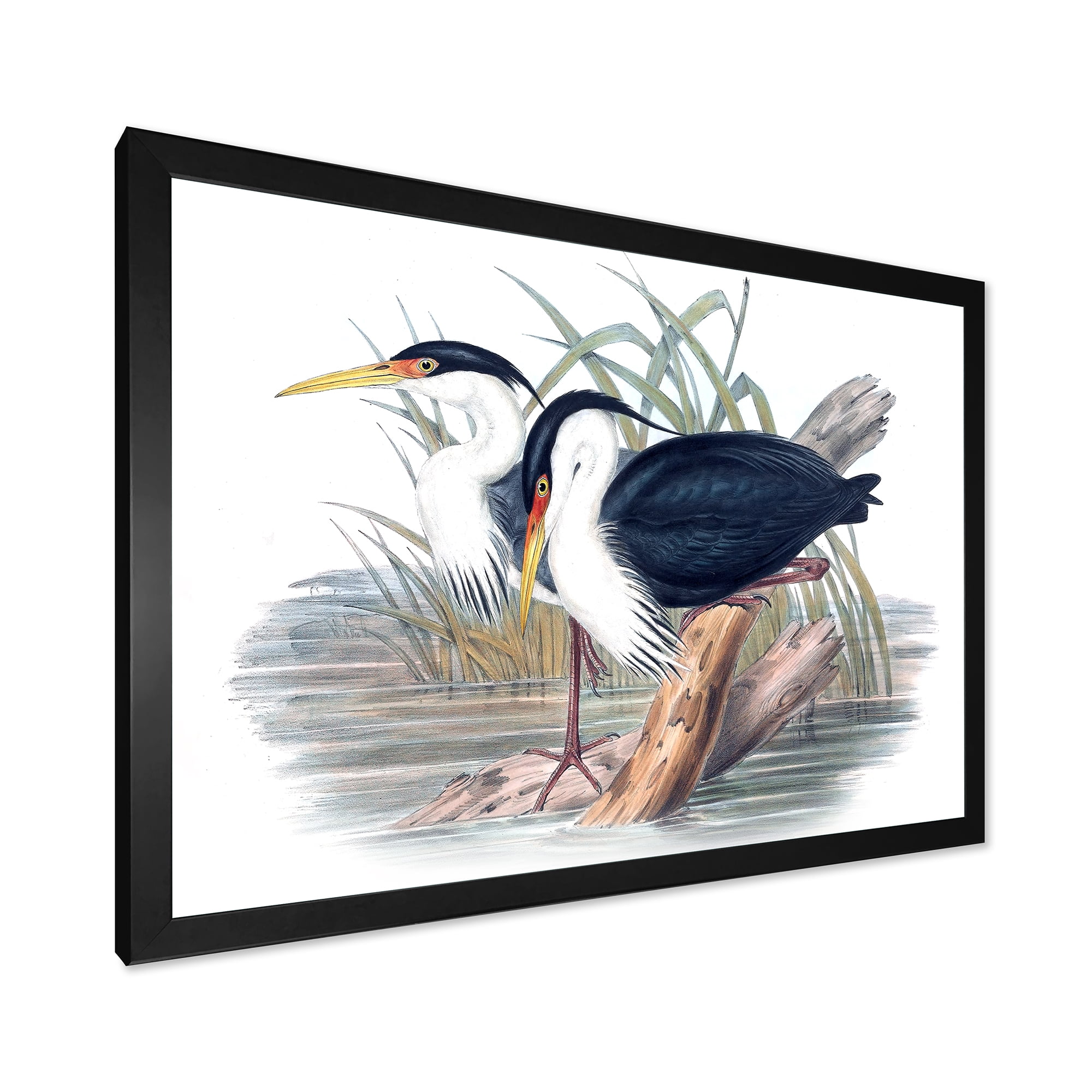 Designart 'Ancient Bird Life II' Traditional Framed Art Print