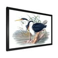 thumbnail image 2 of Designart 'Ancient Bird Life II' Traditional Framed Art Print, 2 of 4