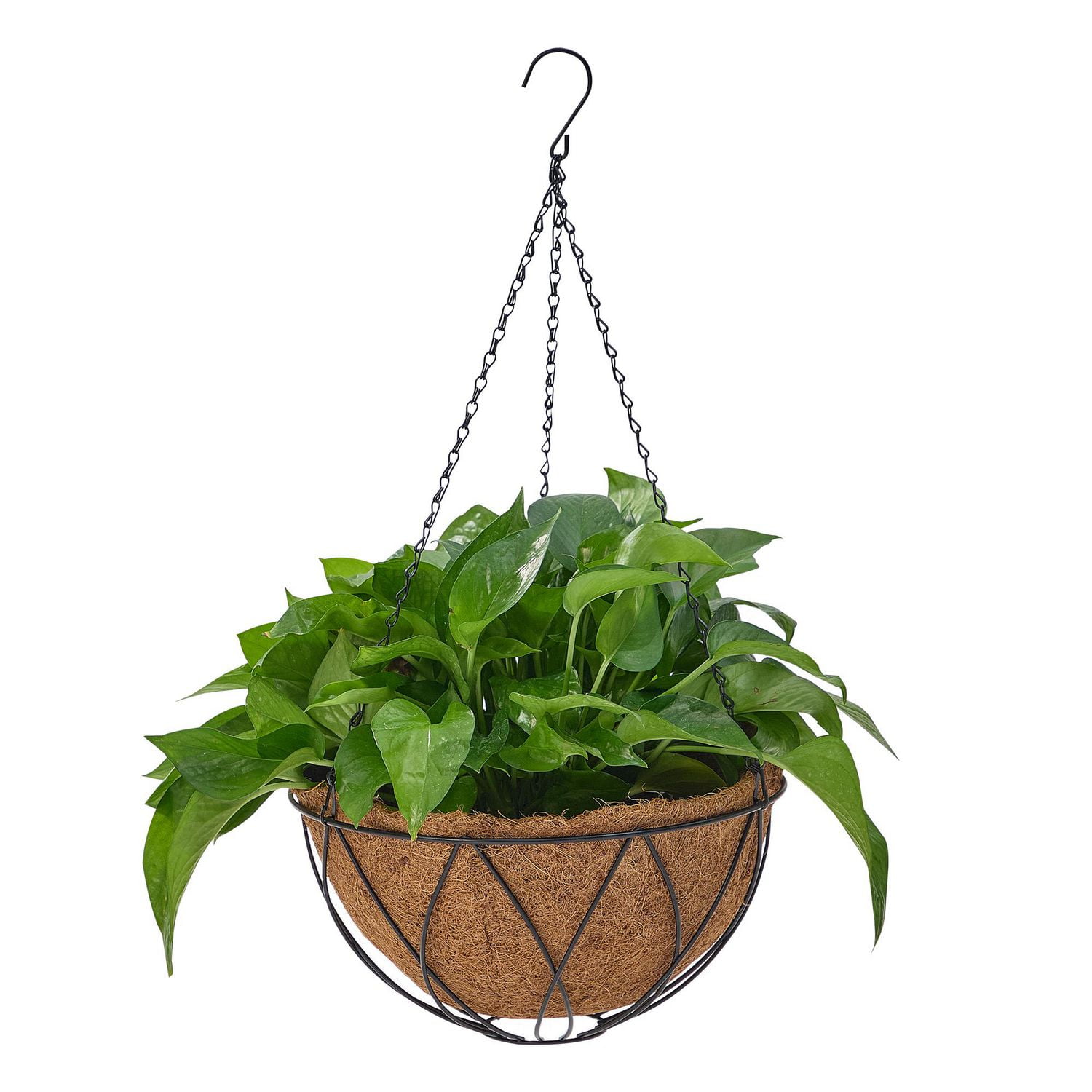 HOME TRENDS 12 IN COCO HANGING BASKET, 12 IN COCO BASKET