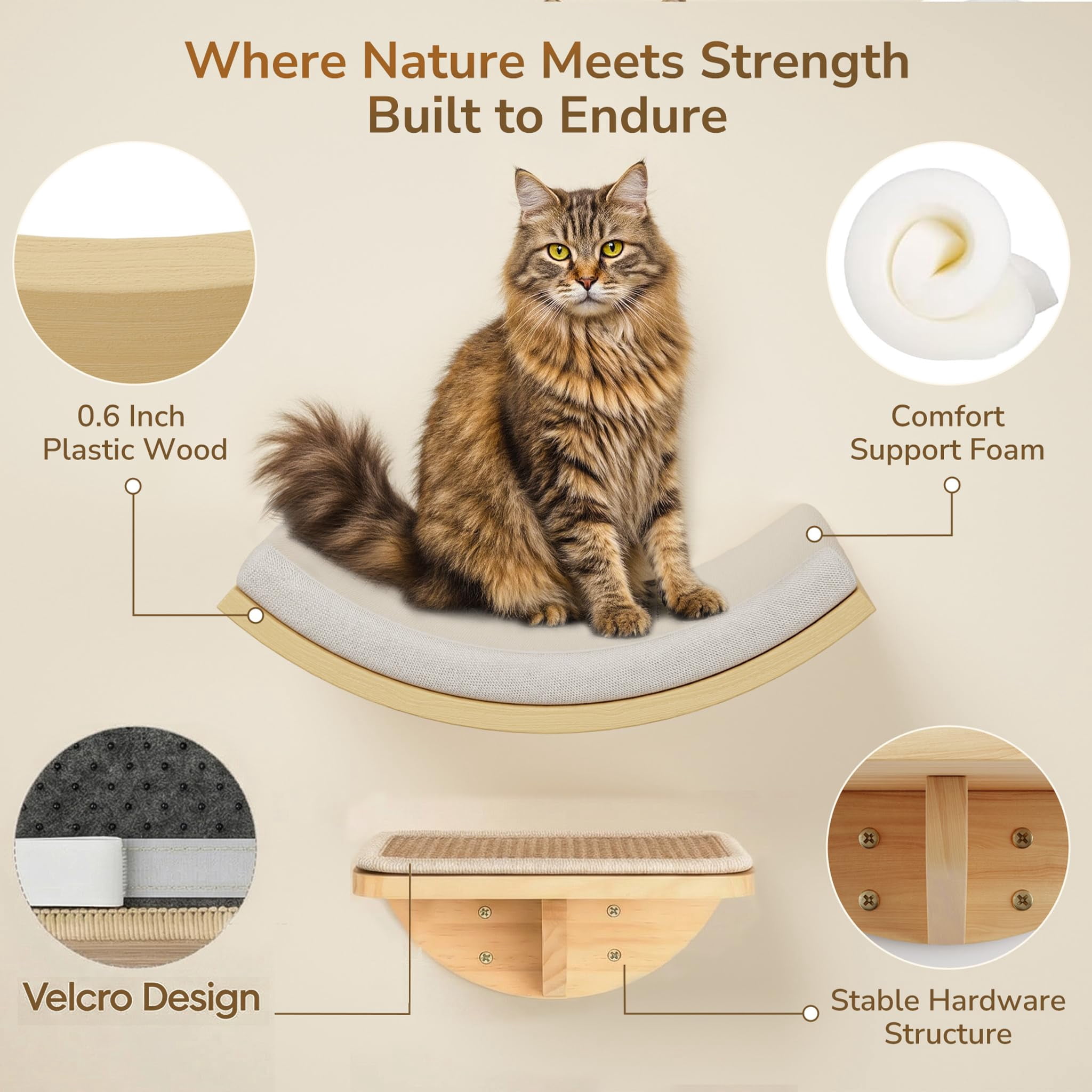 Cat Wall Perch Set Foam/Felt-Wood 1 Curved Bed 2 Steps Sleeping Playing Lounging
