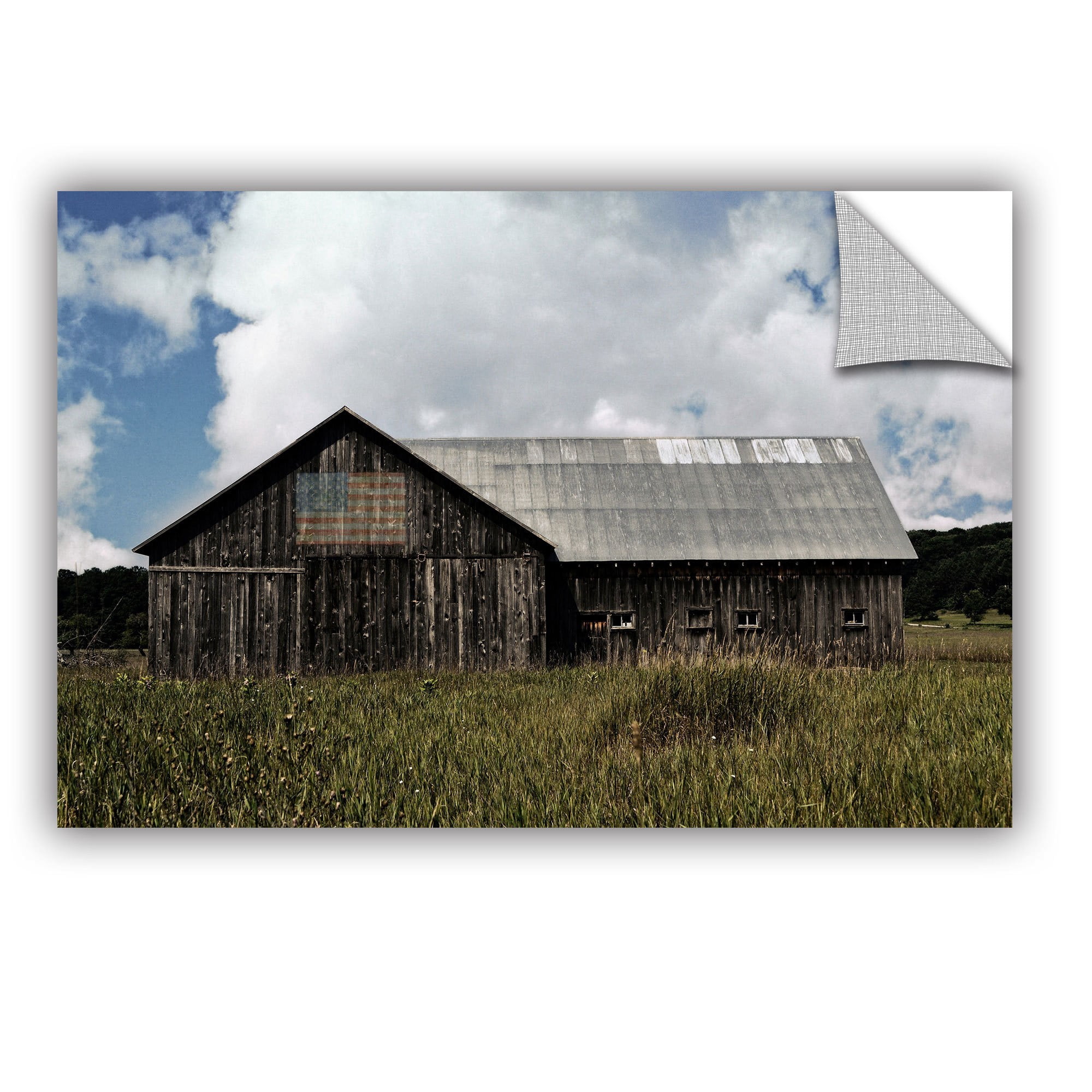 ArtWall Kevin Calkins "Country" ArtAppealz Removable Wall Art