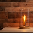 thumbnail image 2 of Wintergreen Lighting ST64 FlexFilament LED Filament Bulb, 5W Vintage LED Edison Bulb, Antiqued Finish, 2 of 6