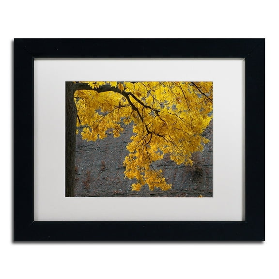 Trademark Fine Art "Golden Autumn Color" Canvas Art by Kurt Shaffer, White Matte, Black Frame