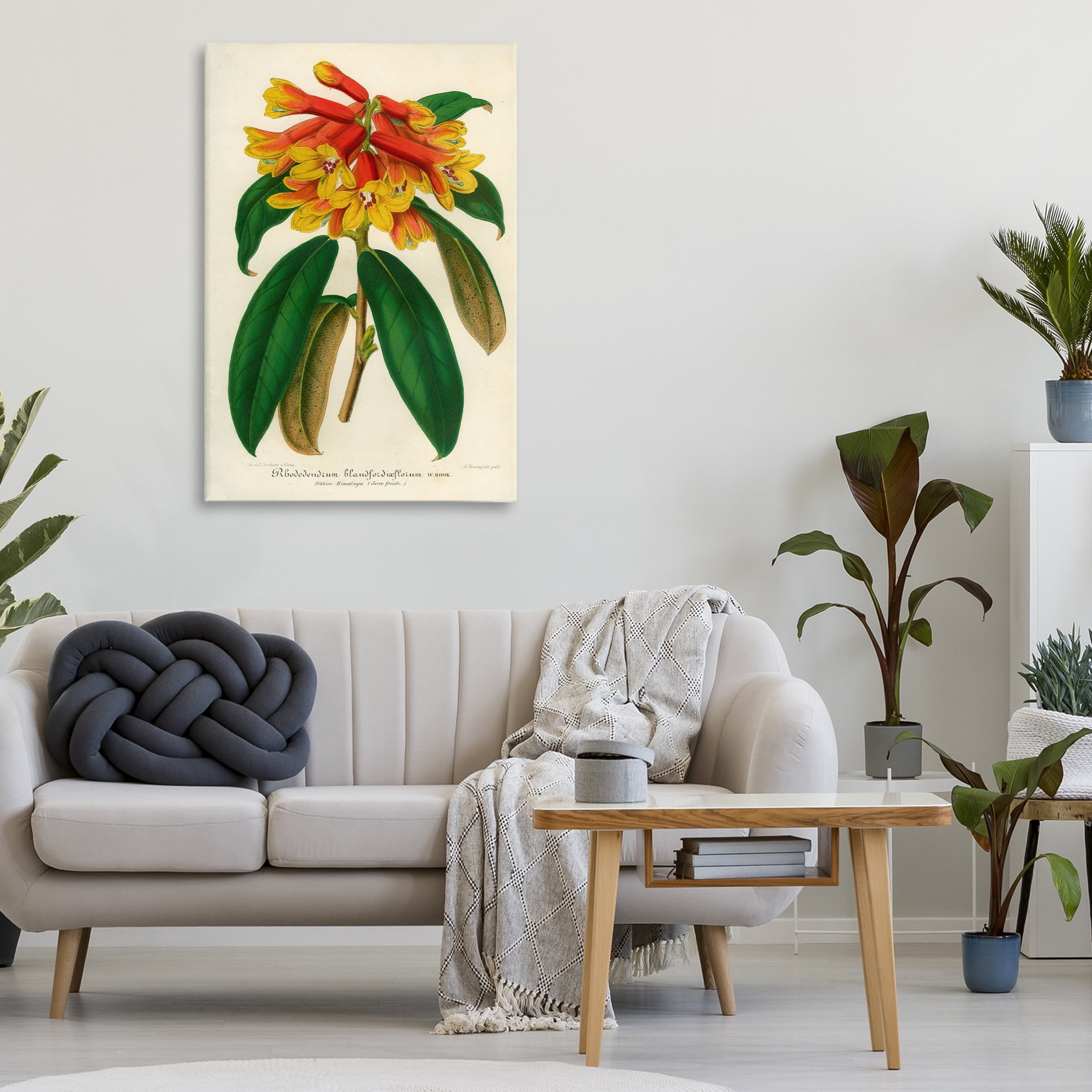 Stupell Industries Orange Yellow Rhododendron Canvas Wall Art, design by Print Collection