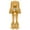 Gold, variant on Womens Shiny Dance Jumpsuit Flare Sleeve Unitard Outfit Disco Club Party Silver M
