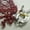 Red, variant on Standard/Shipper Lobster Claw Bands and Claw Band Tool Kit. 1 LB Bag (About 350 PCS.), Yellow