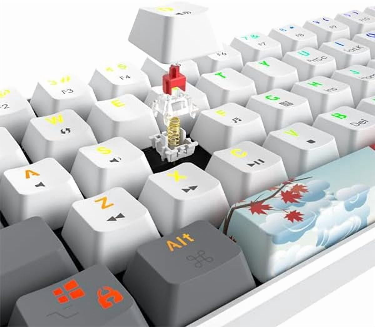 60% Mechanical Keyboard 61-Key Wired Gaming Keyboard with Red RGB Lighting Effect PBT Keycaps Ultra-Compact Mini Keyboard Suitable for Win/(61 White)