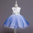 thumbnail image 2 of XZNGL Robe de Princesse Sans Manches en Dentelle pour Tout-Petit Fille, Robe de Fête, Vêtements de Cosplay, 2 of 9