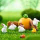 thumbnail image 5 of Conejo DIY micro paisaje jardinería decoración Musgo pequeño animal pastel decoración llavero colgante dibujos animados Pequeño Conejo Blanco, 5 of 6