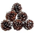 thumbnail image 2 of 6 piñas navideñas de 1,96" con punta de nieve, naturales, de madera esmerilada, para decorar y diseñar (6 unidades), 2 of 5