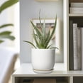 thumbnail image 5 of Ordivic 5-inch White Ceramic Round Planter with Drainage Hole and Saucer for Succulents and Cactus, 5 of 9
