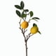 thumbnail image 2 of (1 pieza) Ramita de limón fruta fresca simulación fruta 53 cm, plástico + espuma, 2 of 5
