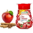 thumbnail image 3 of Pearl Air Freshener  Odor Neutralizing Beads -  Cinnamon 10 oz., 3 of 3