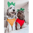 thumbnail image 6 of Midlee Strawberry Dog Halloween Costume (Medium), 6 of 7