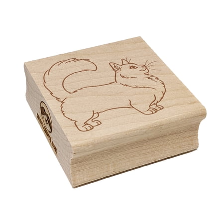 Fun-Loving Munchkin Cat Square Rubber Stamp Stamping Scrapbooking Crafting - Small 1.25in