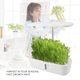 thumbnail image 4 of Jardinera Hidrofónica Inteligente, Cultivador Hidropónico Con Luz LED Para El Hogar, 4 of 7