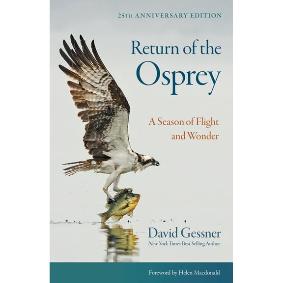 Return of the Osprey: A Season of Flight and Wonder, (Paperback)