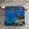 thumbnail image 3 of Ambesonne Fish Quilted Bedspread Set 3 Pcs, Tropical Turtle Water, King Size, Multicolor, 3 of 3
