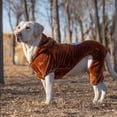 thumbnail image 4 of Large Dog Jacket for Medium and Large Dogs, Dog Clothes, Keep Warm in Autumn and Winter, 4 of 4