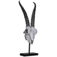 thumbnail image 4 of Polystone Springbok Skull with Antler Horns on Metal Stand Home Decorative Accent Faux Taxidermy Animal Trophy 29.5 in, 4 of 7